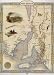 1800'S SOUTH AUSTRALIA ADELAIDE MAP VINTAGE POSTER