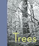 The Power of Trees