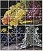 Georg Waldmuller Ferdinand Flowers Tile Mural Modern House Remodeling | 21.25x25.5 using (30) 4.25x4.25 tiles
