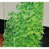 ���i�̏ڍ�