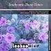 Isochronic Theta Brainwave