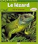 Le l�zard : Vif et discret