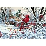 Paint By Number Kit 20"X14"-Cardinal ~ Dimensions Needlecrafts