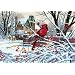 Paint By Number Kit 20"X14"-Cardinal