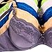 MaMia Women's 6 Push Up Bras Floral Lace Trim Basic Colors