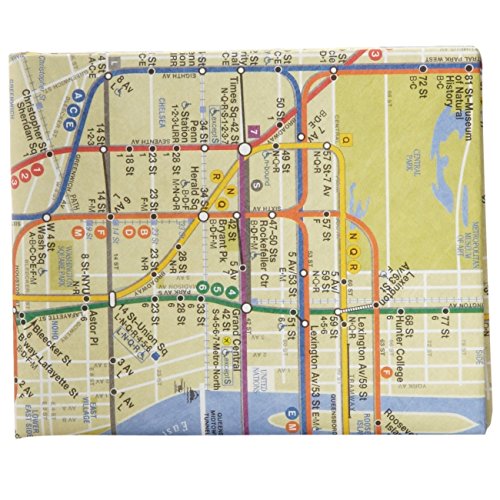 The Mighty Wallet NYC Subway Map