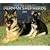 German Shepherds, For the Love of 2010 Deluxe Wall (Multilingual Edition)