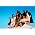 Thumbnail image of Edward Sharpe & the Magnetic Zeros