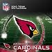 Arizona Cardinals NFL 2010 BOX CALENDAR