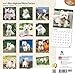 West Highland White Terriers 2016 Wall Calendar