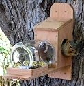 NutHouse Squirrel Jar Feeder - Great Gift and Entertainment for You and Your Squirrels