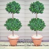 1 lot of 2 Artificial Outdoor Indoor 3 foot 6 inch Boxwood Ball Topiary Trees, potted in nursery pot, real wood trunk, packed with peanuts