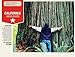Lonely Planet California's Best Trips (Lonely Planet Road Trips)