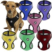 OxGord Pet Control Harness for Dog & Cat Easy Soft Walking Collar, Small, Black
