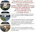 Massive Cash Flow Pack With Generate Extra Cash, Godfather Principles And Sales Models For Free Website Businesses 3 Cd Combo Pack