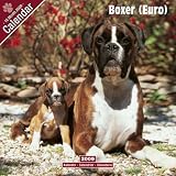 Eigenschaften Avonside Publishing Ltd.  / Kalender 2009 Boxer (Euro) - Deutschen Boxers