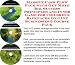 Massive Cash Flow Pack with Get More Biz, Success Principles and Inner Game for Children's Backpacks On-line Businesses 3 Course Pack