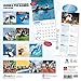 Guinea Pig Games 2014 Calendar 18-Month