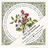 New Testament Note Card Assortment - 12 ct