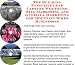 Book The Guerilla Marketing, Building Effective Lead Capture Web Pages, SIVA Marketing for Mountain Bikes Businesses