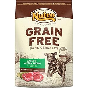 NUTRO Grain Free Adult Lamb and Lentils Recipe Dry Dog Food 24 Pounds
