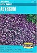 Alyssum Honey Scented Royal Carpet Seeds 250 Seeds