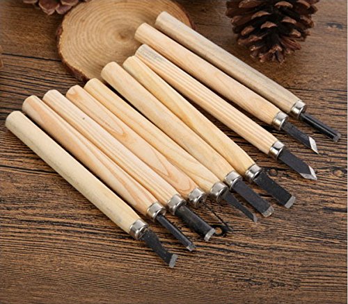 Fw1s 10pcs Hand Wood Carving Chisels Knife for Basic Woodcut Working DIY Tools