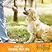 Wellness Trufood Cocochia Bakes Natural Grain Free Dog Treats, Salmon, Coconut Oil & Spinach, 5-Ounce Bag