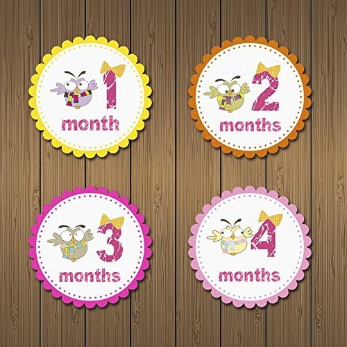 MyLilSprouts Owls Monthly Baby Girl Newborn MileStone Round Easy Peel Stickers 1 - 12 Months Set - Baby Shower Gift (Style 10)