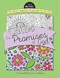 Color the Promises of God: An Adult Coloring Book for Your Soul (Color the Bible)