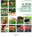 Le guide complet des crevettes d'aquarium