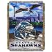 Seattle Seahawks 48