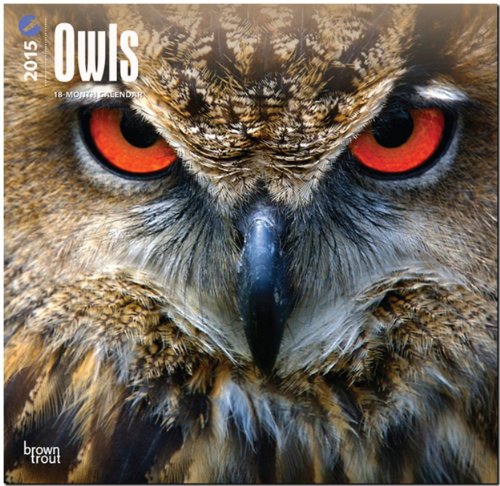 owls 2015 square 12x12 multilingual edition