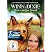 Winn-Dixie - Mein zotteliger Freund