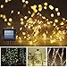 Solar String Lights,Gotideal® 100 LEDs Outdoor/Indoor Starry String Lights,Waterproof Solar Fairy String Lights Copper Wire Ambiance Lighting for Landscape Gardens Homes Christmas Party (Warm White)