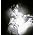 Thumbnail image of David Bowie