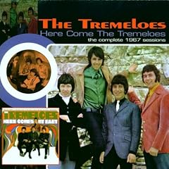 Here Come the Tremeloes