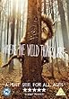 Where The Wild Things Are [DVD] [2009]