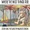 Where the Wild Things Are
