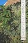Jardinons � la verticale !