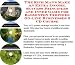 Book The Ultimate How To Earn Extra Money, Marketing and Success Principles for Badminton Trophies Businesses 3 CD Combo Pack