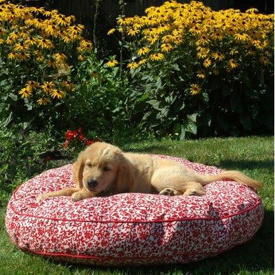 Snoozer Pool and Patio Round Pet Bed, Large, Strawberry Slushy Floral