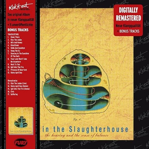Fury In The Slaughterhouse The Hearing And The Sense of Balance cd cover