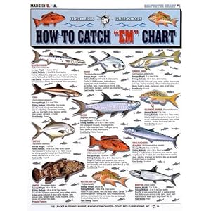 Tight Lines Saltwater Fish Chart #1