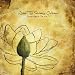 Wake Thy Slumbering Children: Indelible Grace V
