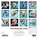 Underwater Dogs 2017 Small Wall Calendar