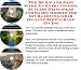 The Quick and Easy Make An Extra Income, Success Principles and Sales Models for Scuba Diving Gear On-line Biz Package (3 CDs)