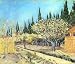 Flowering fruit garden surrounded by cypress by Van Gogh canvas art print, 24 X 36 gallery wrap Read
