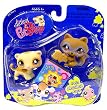 Littlest Pet Shop Pet Pair - Messiest 652 and 653 - Raccon and Ferret