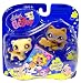 Littlest Pet Shop Pet Pair - Messiest 652 and 653 - Raccon and Ferret